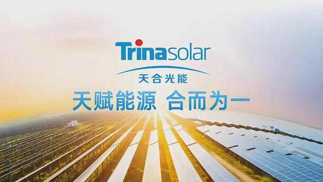 能的昨天、今天和明天龙8游戏进入天合光(图2)