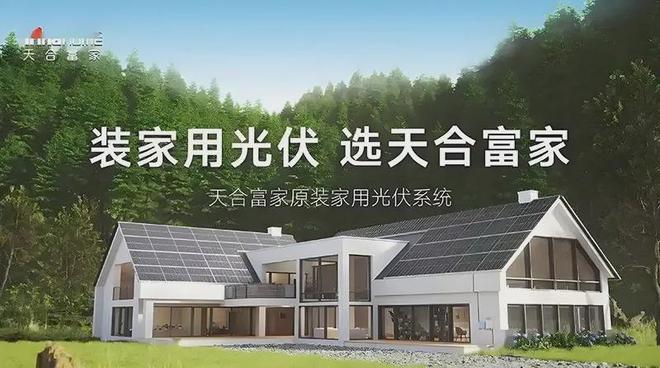 能的昨天、今天和明天龙8游戏进入天合光(图3)